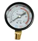 Pressure Gauge 12.5bar